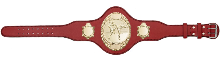 THAI BOXING TITLE BELT - PLT286/G/TBOG-4 COLOURS